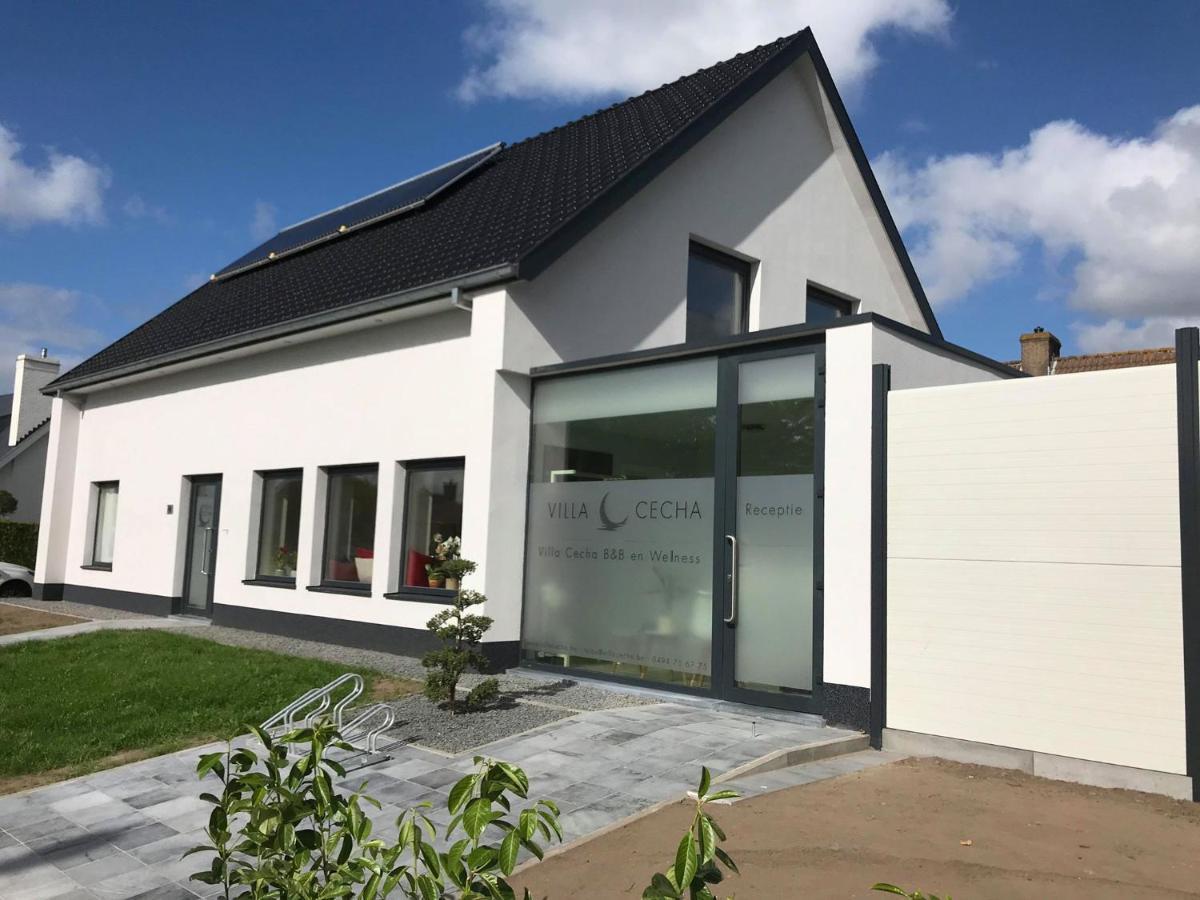 Villa Cecha B&B &Wellness Ostend Exterior foto